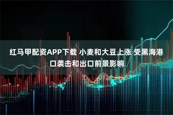 红马甲配资APP下载 小麦和大豆上涨 受黑海港口袭击和出口前景影响