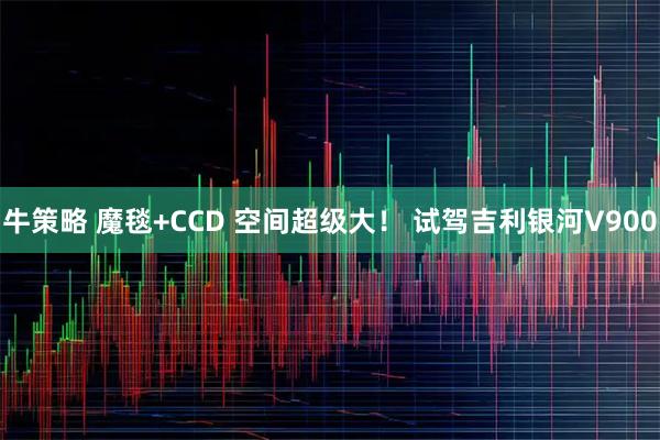 牛策略 魔毯+CCD 空间超级大！ 试驾吉利银河V900